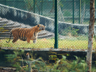 Sundarban National Park