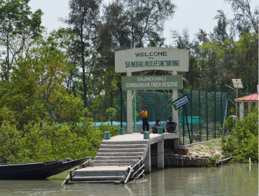 Sajnekhali Wildlife Sanctuary